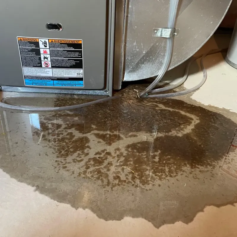 Appliance Leak Cleanup in Taylor County, WV