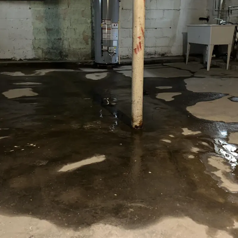 Emergency Water Extraction And Removal in Taylor County, WV